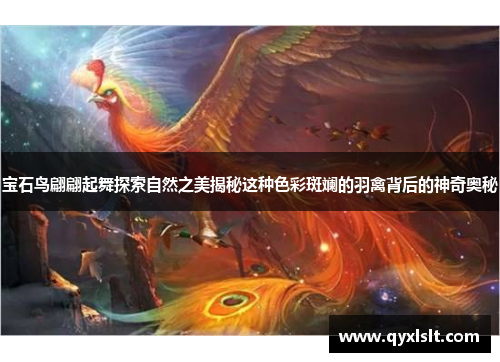 宝石鸟翩翩起舞探索自然之美揭秘这种色彩斑斓的羽禽背后的神奇奥秘